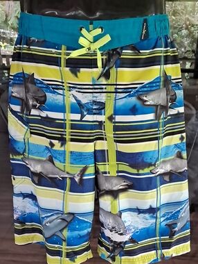 ZeroXposur Blue, Teal & Lime Shark Stripe Swim Trunks